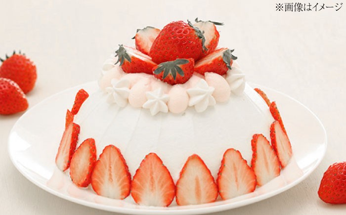 ベリーツ イチゴ 甘い 苺 フルーツ デザート 国産いちご ブランド いちご おすすめフルーツ ストロベリー 旬の果物