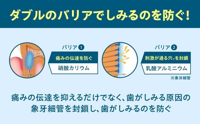 歯磨き粉 はみがき 歯磨き ハミガキ 歯周病 予防 日用品 大容量 知覚過敏