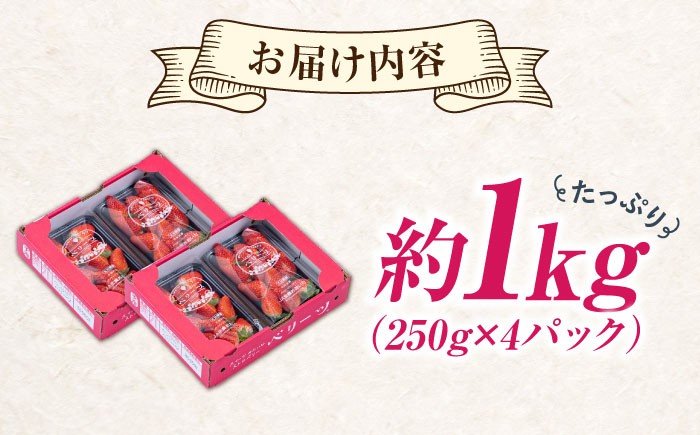 ベリーツ イチゴ 甘い 苺 フルーツ デザート 国産いちご ブランド いちご おすすめフルーツ ストロベリー 旬の果物