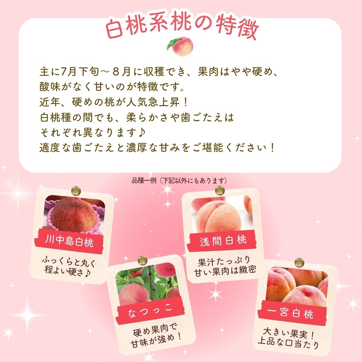 数多の桃を食べた桃の国・山梨県民スタッフが自信を持っておすすめします! 富士の見えるくだもの畑から、朝もぎ直送いたします。