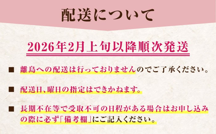 ベリーツ イチゴ 甘い 苺 フルーツ デザート 国産いちご ブランド いちご おすすめフルーツ ストロベリー 旬の果物