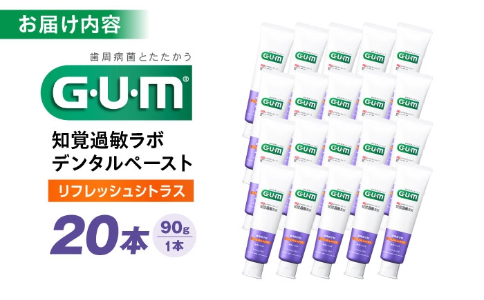 歯磨き粉 はみがき 歯磨き ハミガキ 歯周病 予防 日用品 大容量 知覚過敏