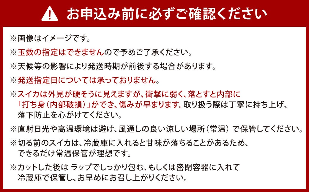 福岡県 北九州市 若松産【優等品】若松クイーン 10kg以上（2kg以上3玉入り～4玉入り）