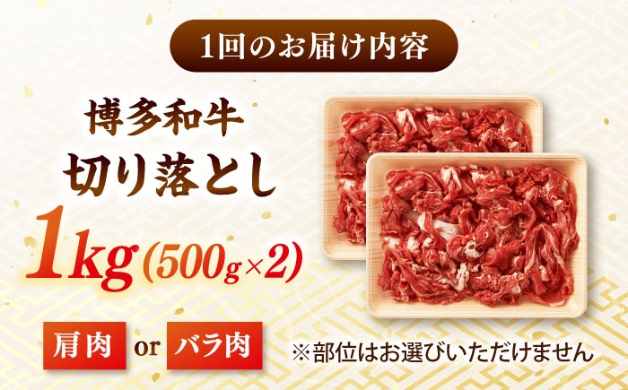 3回定期便 和牛 切り落とし 1kg (500g×2P) 国産