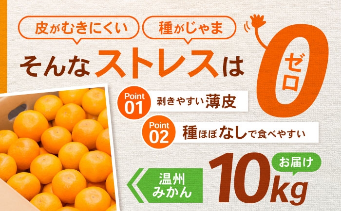 みかん 温州みかん 蜜柑 ミカン 柑橘 オレンジ おれんじ 青果 果物 くだもの フルーツ ふるーつ 甘い 甘味 ジューシー