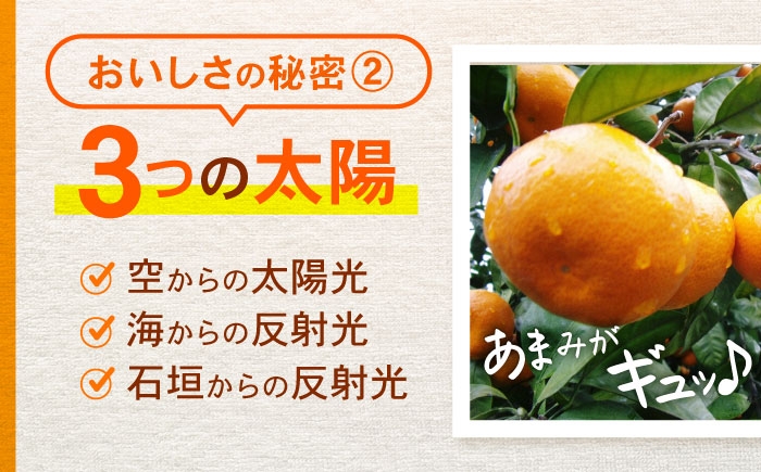 みかん 温州みかん 蜜柑 ミカン 柑橘 オレンジ おれんじ 青果 果物 くだもの フルーツ ふるーつ 甘い 甘味 ジューシー