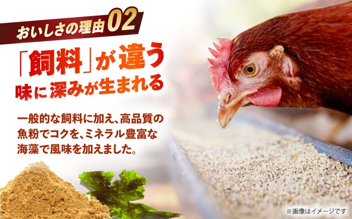 卵 玉子 たまご タマゴ 赤たまご 卵焼き 玉子焼き 生卵 ゆで卵 鶏卵 黄身 鶏 卵かけごはん とれたて