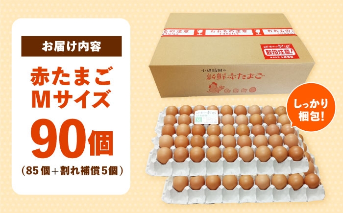 卵 玉子 たまご タマゴ 赤たまご 卵焼き 玉子焼き 生卵 ゆで卵 鶏卵 黄身 鶏 卵かけごはん とれたて