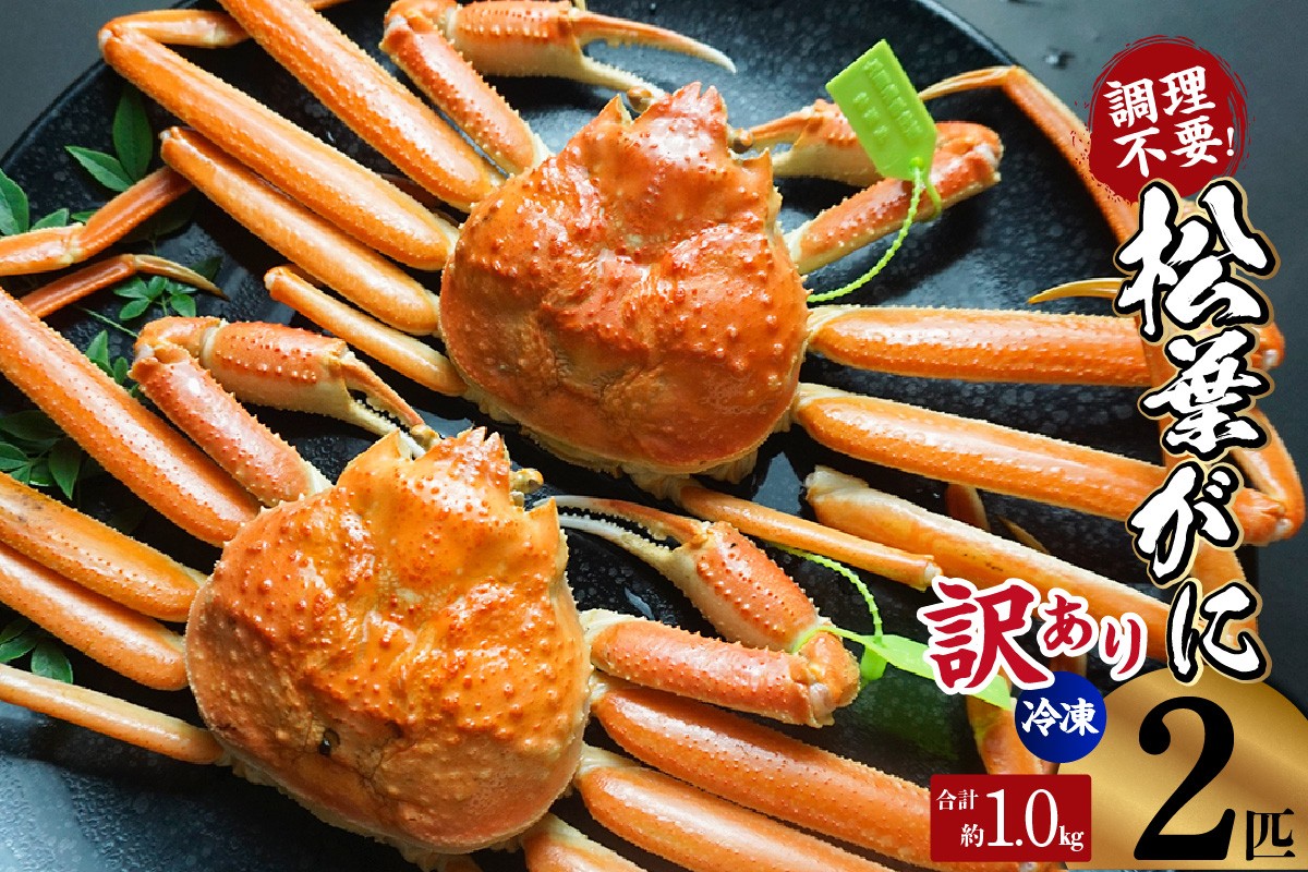 漁師町ならではの特別規格でお届けする、ちょっとだけ訳ありの松葉がにです。味や品質に問題はありません。