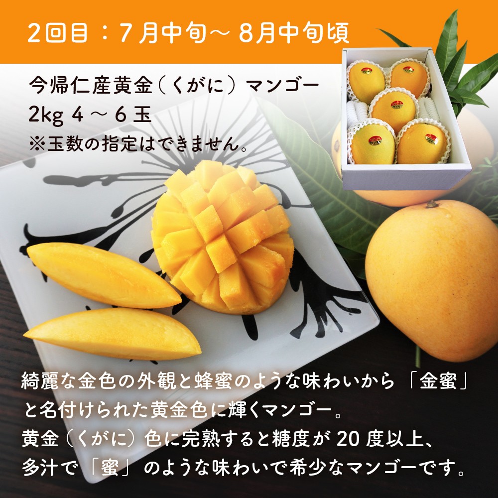 【定期便】稀少3色マンゴー(赤・黄・緑)【赤:6月中旬~7月頃 黄:7月中旬~8月中旬頃 緑:8月~9月頃発送】生産者直送
