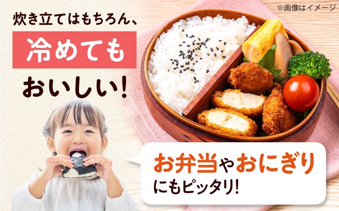 令和7年産 新米 キヌヒカリ 米 お米 白米 コメ おこめ 10kg 5kg きぬひかり 人気 おすすめ 産地直送 国産 新鮮