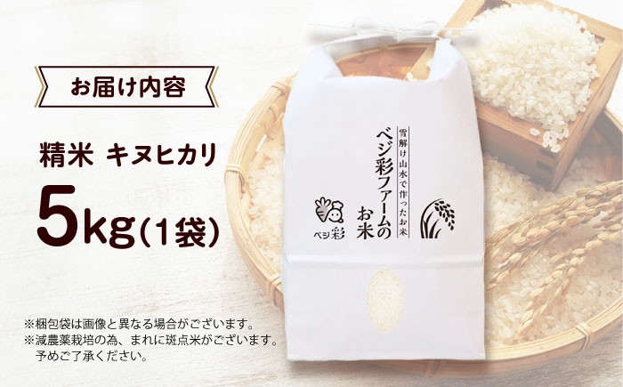 米 令和7年産 新米 キヌヒカリ きぬひかり お米 白米 コメ おこめ 10kg 5kg 人気 おすすめ 産地直送 国産 新鮮