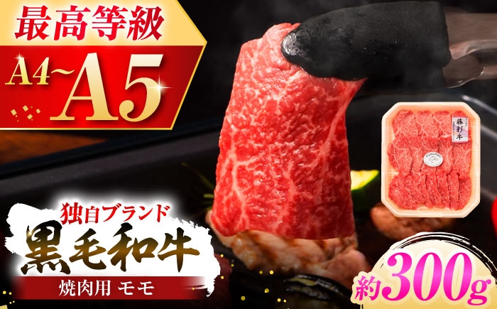 牛肉 黒毛和牛 A5 A4 ランク 阿蘇 熊本県 菊陽町 焼き肉  バーベキュー BBQ 和牛 人気 部位   冷凍 
