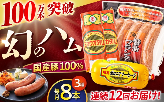 ハム 定期 便利 明方ハム フランクフルト ボロニアソーセージ ソーセージ 国産 つめあわせ 国産豚 