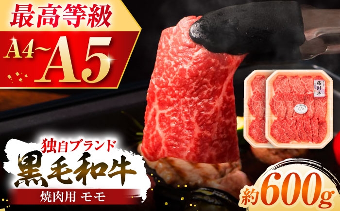 牛肉 黒毛和牛 A5 A4 ランク 阿蘇 熊本県 菊陽町 焼き肉  バーベキュー BBQ 和牛 人気 部位   冷凍 