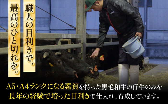 牛肉 黒毛和牛 A5 A4 ランク 阿蘇 熊本県 菊陽町 焼き肉  バーベキュー BBQ 和牛 人気 部位   冷凍 