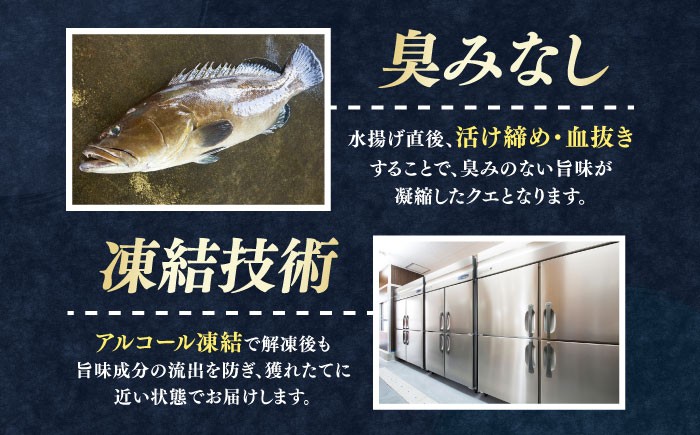 魚 魚介 魚介類 海鮮 クエ くえ 鍋 クエ鍋 切り身 切身 鍋セット お取り寄せ アラ 高級魚 希少 冷凍 新鮮 海の幸 