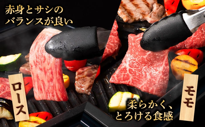 牛肉 黒毛和牛 A5 A4 ランク 阿蘇 熊本県 菊陽町 焼き肉  バーベキュー BBQ 和牛 人気 部位   冷凍 