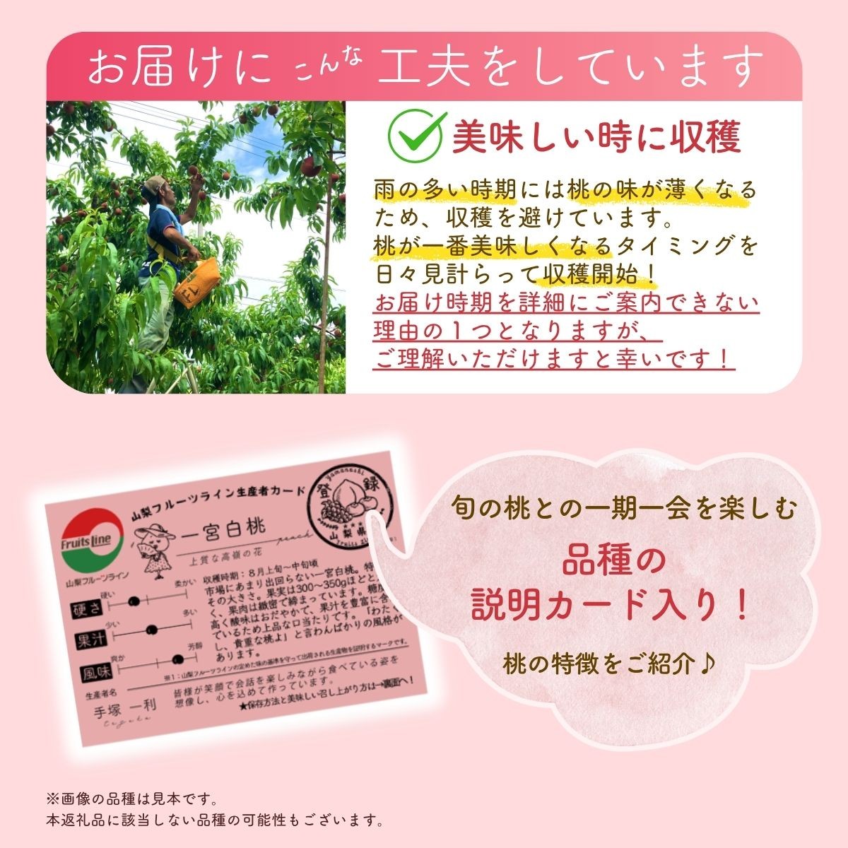 富士の見えるくだもの畑から、朝もぎ直送いたします。