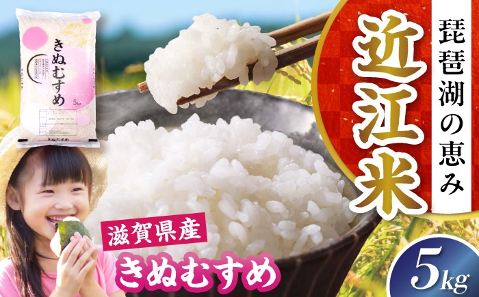 近江米 きぬむすめ キヌムスメ 滋賀県産 国産 5kg 米 コメ お米 白米 ご飯 おにぎり ご飯のお供 お弁当 親子丼