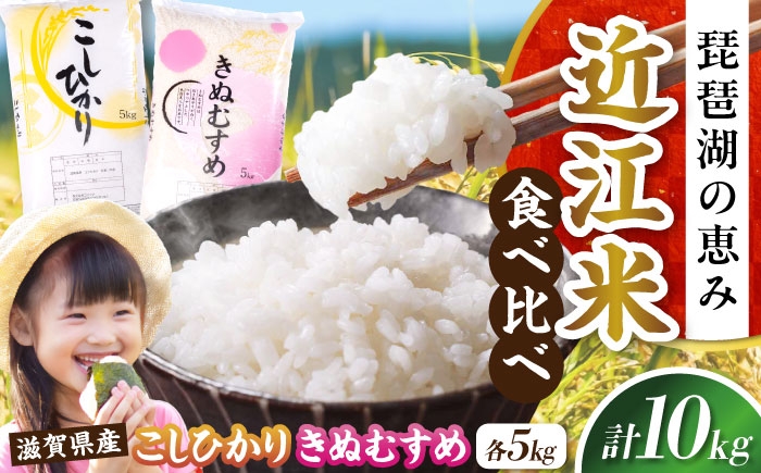 近江米 きぬむすめ コシヒカリ こしひかり 国産 10kg 米 コメ お米 白米 ご飯 おにぎり 食べ比べ お弁当 親子丼