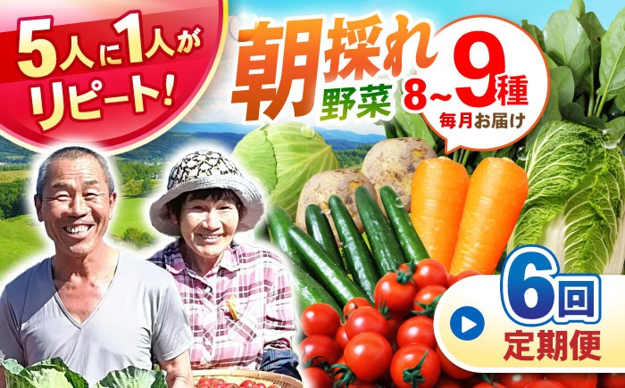 諫早産 野菜 詰め合わせ 8〜9品目程度 定期便 季節 旬 やさい 春野菜 夏野菜