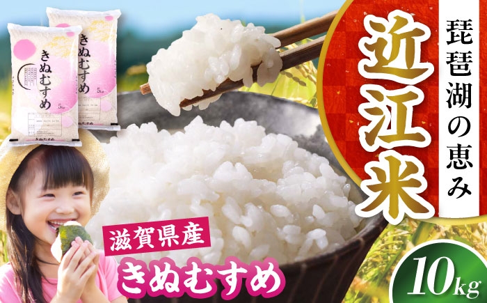 近江米 きぬむすめ キヌムスメ 滋賀県産 国産 10kg 米 コメ お米 白米 ご飯 おにぎり ご飯のお供 お弁当 親子丼