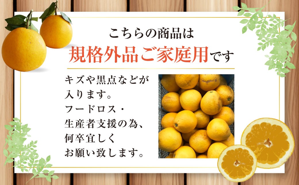 【規格外品】河内晩柑 ご家庭用  15kg サイズ不選別 柑橘 晩柑