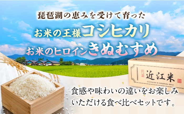 近江米 きぬむすめ コシヒカリ こしひかり 国産 10kg 米 コメ お米 白米 ご飯 おにぎり 食べ比べ お弁当 親子丼