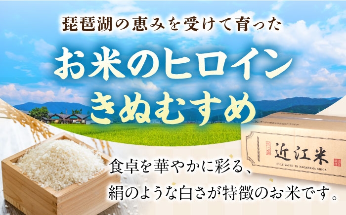 近江米 きぬむすめ キヌムスメ 滋賀県産 国産 10kg 米 コメ お米 白米 ご飯 おにぎり ご飯のお供 お弁当 親子丼
