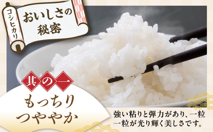 近江米 コシヒカリ こしひかり 滋賀県産 国産 10kg 米 コメ お米 白米 ご飯 おにぎり ご飯のお供 お弁当 おすすめ