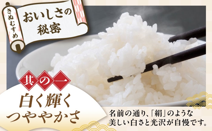近江米 きぬむすめ キヌムスメ 滋賀県産 国産 10kg 米 コメ お米 白米 ご飯 おにぎり ご飯のお供 お弁当 親子丼
