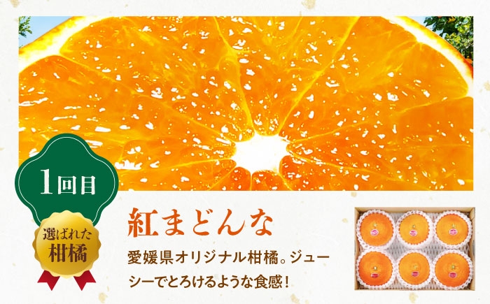 【全3回定期便】柑橘定期便（2025年度版）