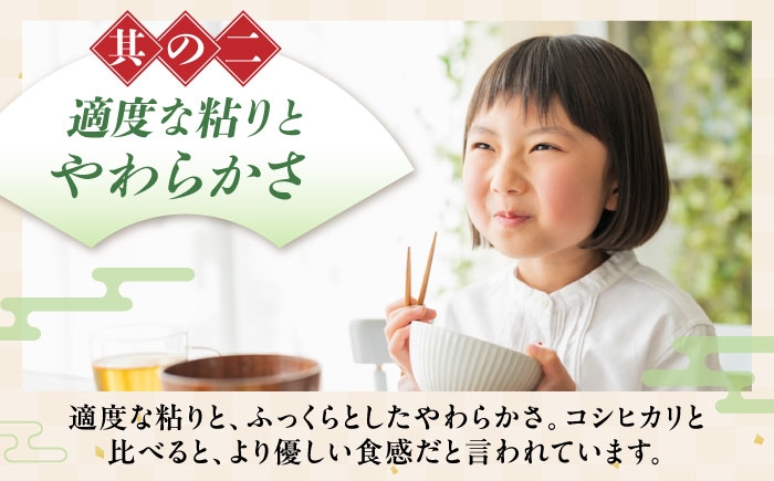 近江米 きぬむすめ キヌムスメ 滋賀県産 国産 10kg 米 コメ お米 白米 ご飯 おにぎり ご飯のお供 お弁当 親子丼