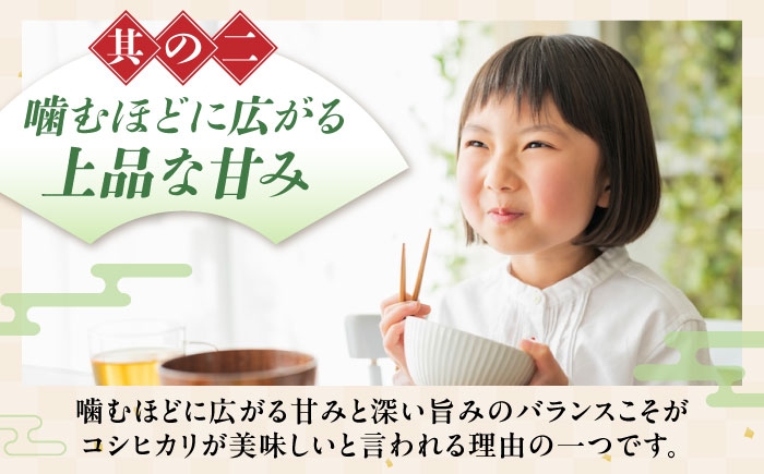 近江米 コシヒカリ こしひかり 滋賀県産 国産 10kg 米 コメ お米 白米 ご飯 おにぎり ご飯のお供 お弁当 おすすめ