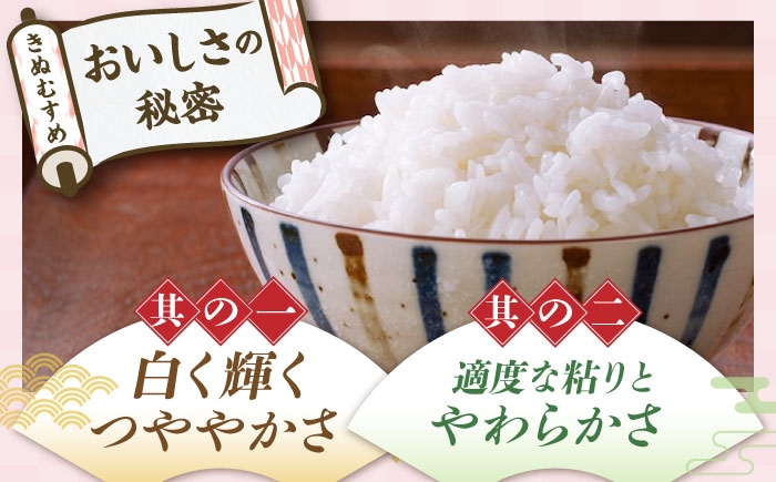 近江米 きぬむすめ コシヒカリ こしひかり 国産 10kg 米 コメ お米 白米 ご飯 おにぎり 食べ比べ お弁当 親子丼