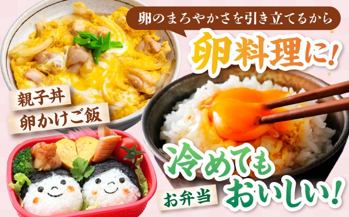 近江米 きぬむすめ コシヒカリ こしひかり 国産 10kg 米 コメ お米 白米 ご飯 おにぎり 食べ比べ お弁当 親子丼