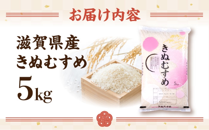 近江米 きぬむすめ キヌムスメ 滋賀県産 国産 5kg 米 コメ お米 白米 ご飯 おにぎり ご飯のお供 お弁当 親子丼