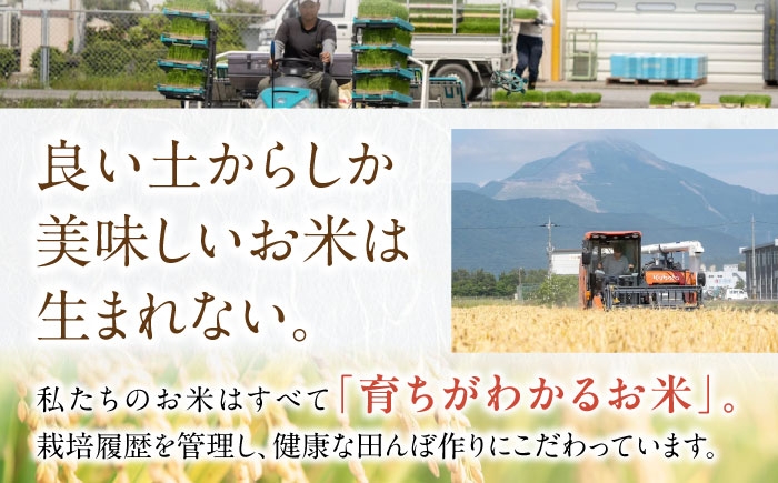 近江米 コシヒカリ こしひかり 滋賀県産 国産 10kg 米 コメ お米 白米 ご飯 おにぎり ご飯のお供 お弁当 おすすめ