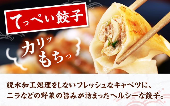 餃子 冷凍餃子 ぎょうざ 肉餃子 惣菜 おかず おつまみ 大容量 業務用 簡単