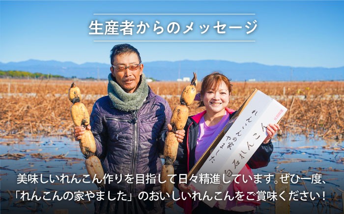 もっちりとした食感がたまらない白石れんこん