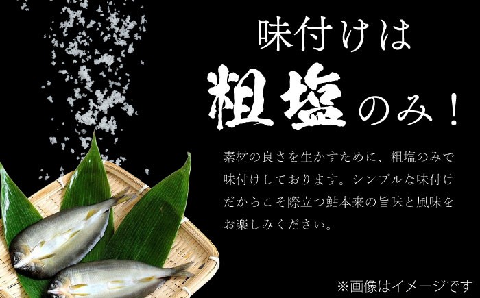  鮎 あゆ アユ 一夜干し 干物 鮎 あゆ アユ 一夜干し 干物 鮎 一夜干し グルメ 伝統 美味しい 特産品 お取り寄せ 和食