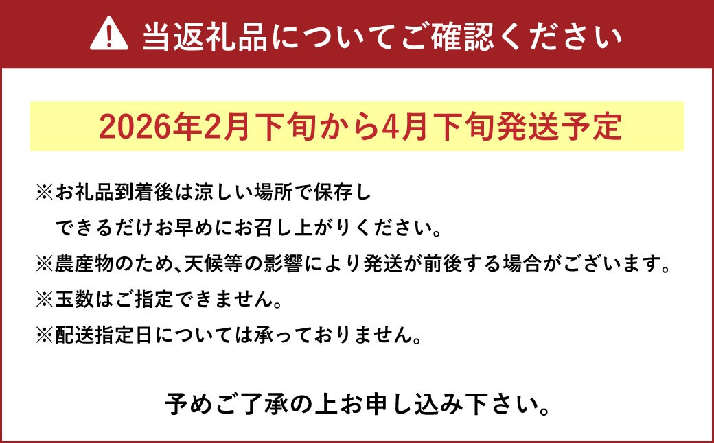 上天草市産 パール柑