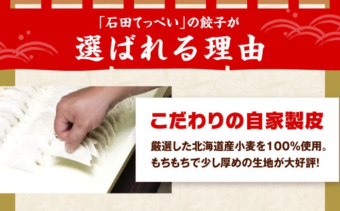 餃子 冷凍餃子 ぎょうざ 肉餃子 惣菜 おかず おつまみ 大容量 業務用 簡単