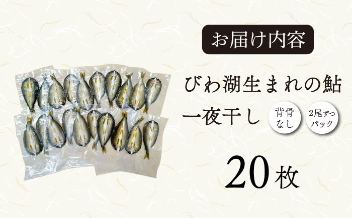  鮎 あゆ アユ 一夜干し 干物 鮎 あゆ アユ 一夜干し 干物 鮎 一夜干し グルメ 伝統 美味しい 特産品 お取り寄せ 和食