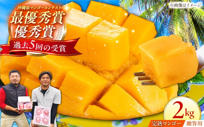 【 先行予約 2026年発送 】【贈答用】仲村農園の完熟アップルマンゴー2kg  マンゴー 沖縄 マンゴー 先行予約 