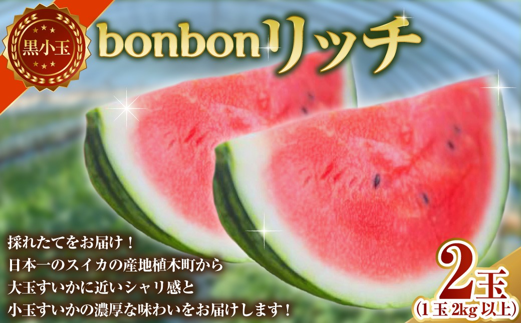 黒小玉 bonbonリッチ 2玉 各2kg以上