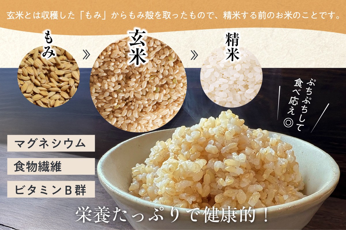 玄米はビタミンB群や食物繊維、マグネシウムといった栄養成分が豊富に含まれています。