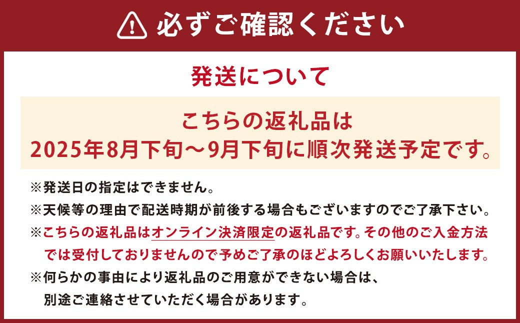 時津町産 シャインマスカット 約1.2kg