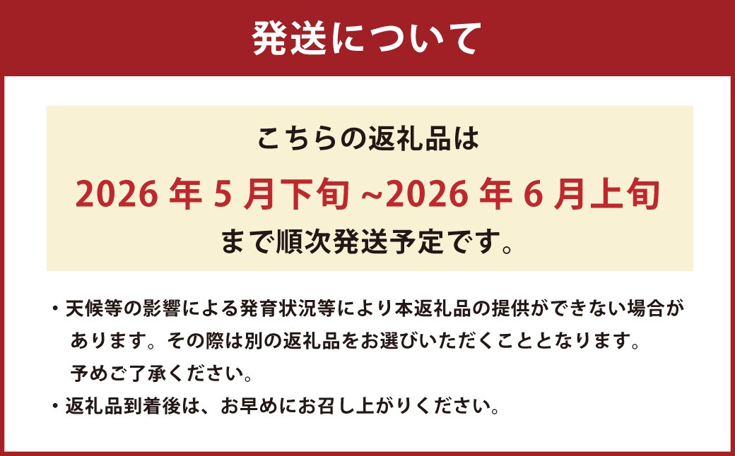 黒小玉 bonbonリッチ 2玉 各2kg以上